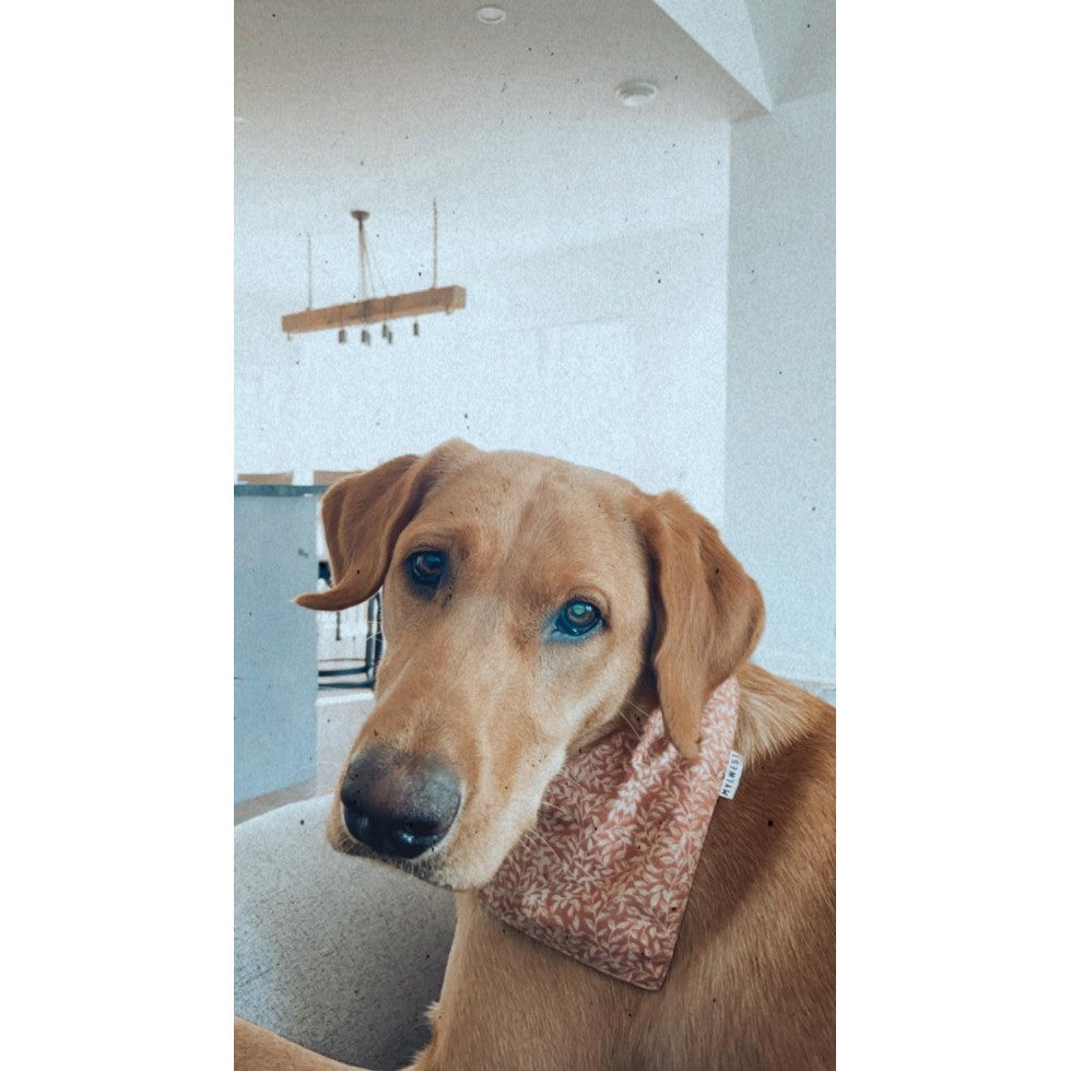 Floral Bandana - Classic